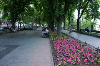 Улицы Одессы украсили более тысячи подвесных чаш с цветами