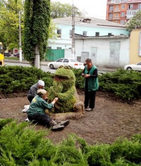 Улицы Одессы украсили более тысячи подвесных чаш с цветами