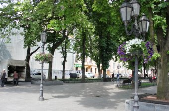 Улицы Одессы украсили более тысячи подвесных чаш с цветами