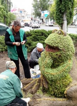 Улицы Одессы украсили более тысячи подвесных чаш с цветами