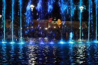 Ночная Аркадия: Фонтаны, музыка и смех (фото)