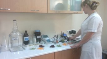Продукты на рынках Одессы проверяют на наличие нитратов