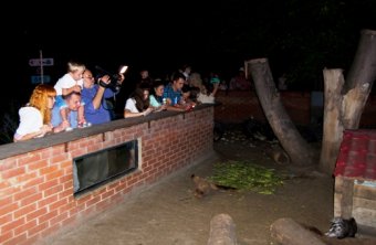 В ночь на Ивана Купала в одесском зоопарке прыгали через костер и водили хороводы