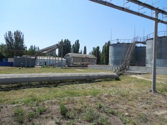 Экологи: «Неприятный запах в скором времени покинет Одессу»(фото)