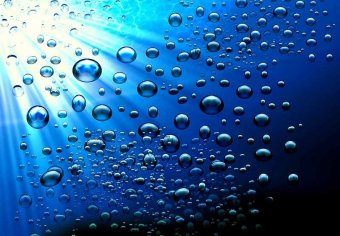 В Одессе морская вода в норме