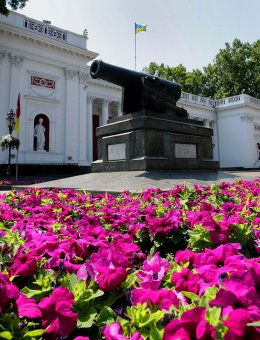 Городские цветы