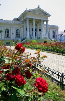 Городские цветы
