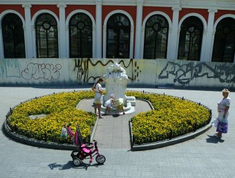 Городские цветы