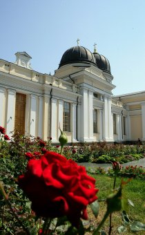 Городские цветы