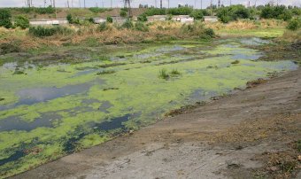 На Балковской очищают буферный пруд (фото)