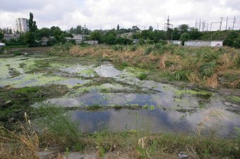 На Балковской очищают буферный пруд (фото)