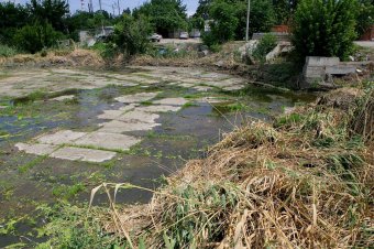 На Балковской очищают буферный пруд (фото)