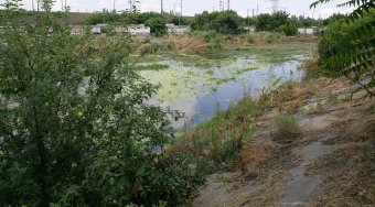 На Балковской очищают буферный пруд (фото)