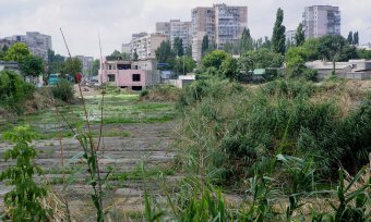 На Балковской очищают буферный пруд (фото)