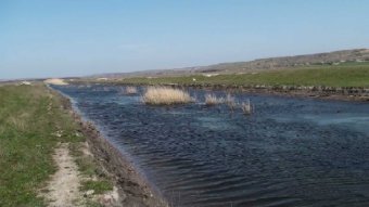 Экологи: «Осенью Куяльник впервые наполнят морской водой»