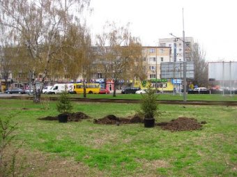 На Площади Независимости ограбили кредитный центр