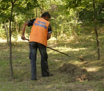 Власти Одессы отчитались о благоустройстве парка Победы (фото)