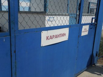Валерий Знамеровский: За время работы Приюта для бездосных животных не было зафиксировано ни одного случая бешенства