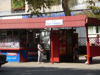 В Малиновском районе наливайку замаскировали под остановку