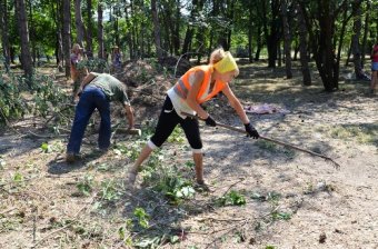 Одесские власти отчитались о благоустройстве парка Победы (фото)