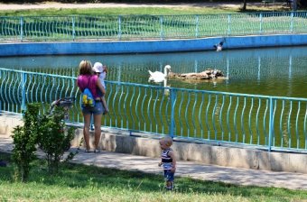 Одесские власти отчитались о благоустройстве парка Победы (фото)