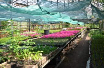 Стало известно, где скрывается красота Одессы (фото)