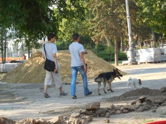 Реконструкция в Парке Победы идёт полным ходом