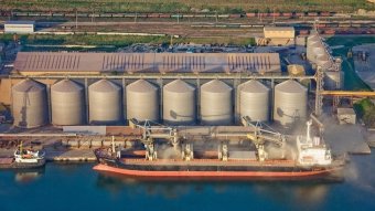 Одесский морской порт отгрузил более 3 млн тонн зерновых на экспорт