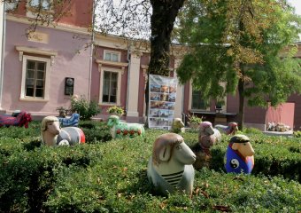 Одессу оккупировали овцы! (фото)