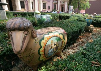 Одессу оккупировали овцы! (фото)