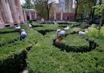 Одессу оккупировали овцы! (фото)