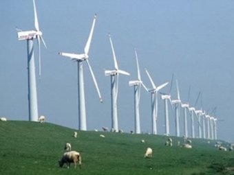 WWF в Украине: Украина  только начинает видеть в альтернативной энергетике природоохранную составляющую