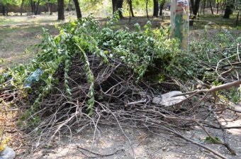 К 220-летию Одессы благоустраивают Преображенский парк (фото)