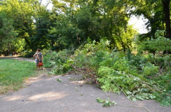 К 220-летию Одессы благоустраивают Преображенский парк (фото)