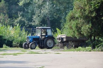 К 220-летию Одессы благоустраивают Преображенский парк (фото)