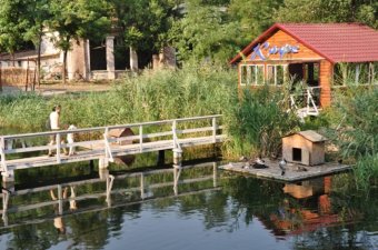 Генеральное задание Геннадия Труханова арендаторам Дюковского парка (фото)