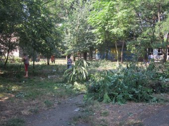 Благоустройство парков: Мнение одесситов