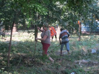 Благоустройство парков: Мнение одесситов