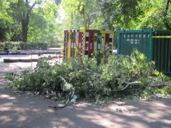 Благоустройство парков: Мнение одесситов