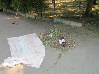 Благоустройство парков: Мнение одесситов