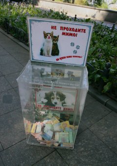 Братьям нашим меньшим (фото)