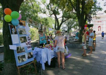 Братьям нашим меньшим (фото)