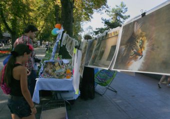 Братьям нашим меньшим (фото)