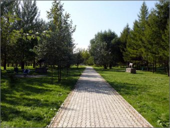 В Одессе откроют сквер, посвящённый истории футбола