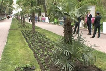 Свое 220-летие Одесса встретит обновленными парками и разнообразной культурной программой