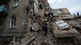 Партия развития Украины призывает ввести мораторий на использование тяжелого вооружения в зоне АТО