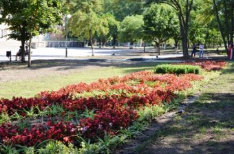 Ко Дню города в Одессе обновят Крымский бульвар