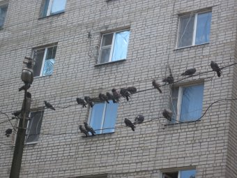 «Одесский дворик»: Благоустроен двор на Генерала Петрова, 50 (фото)