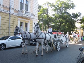 Алена Алексеенко: Наше будущее - это дети (фото)