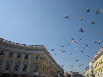 Одесса празднует свой юбилей (фото)